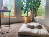 The #1 Best Meditation Cushion You’ve Never Heard Of …