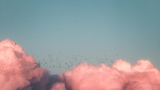 Where psychological safety breaks down, and what HR can do