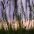 The Best Blog For Spiritual Ascension and Awakening