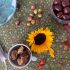 Easy 4-Ingredient Homemade Teething Biscuits