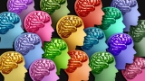 Scientists found the human brain undergoes a major biological shift between ages 50 and 75