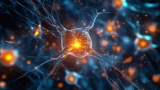 Scientists find a hidden weak spot that may trigger Alzheimer’s
