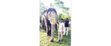 Abhimanyu to arrive in city on Oct. 5