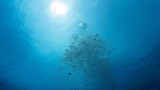 Earth’s waters are quietly running out of oxygen, scientists warn