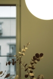 10 Ways to Use Warm Eucalyptus in Your Home