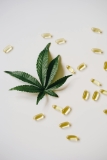 Why CBD Capsules Are Ideal for Beginners
