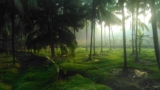 Multi-Generational Kerala Trip with Family: Complete Guide