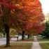 Explore Portland’s Vibrant Art Scene This October