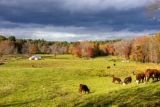 How Short Is Too Short for Fall Grazing?