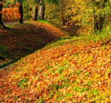Generation wars – Beyond Meds: Alternatives to Psychiatry