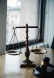 BRIEF OVERVIEW ON ADMINISTRATIVE DISCRETION IN INDIA’S PARLIAMENTARY SYSTEM OF GOVERNMENT – Lex Humanitariae
