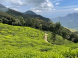Kerala Trip Cost 2026: Kerala Travel Cost & Budget Breakdown