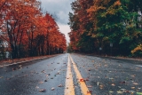 During This Season, Nature Reminds Us of the Importance of Letting Go – ItsJaiMarie