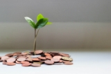 A Practical Roadmap to Budgeting, Investing, and Wealth Creation
