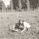 Ponzi Vineyards – Vertdevin
