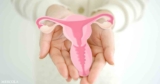 Postbiotics and the Gut-PCOS Connection: What Emerging Research Suggests