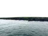 What to Expect for Weather, Puffin Season & Midnight Sun