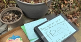 Kindness Activist: Pausing for Kindness