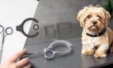 How to Use Safety Scissors for Dog Grooming at Home – The Dogington Post