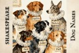 200+ Literary Names from the Bard