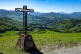 Pope Leo XIV recognizes martyrdom of 2 priests killed by Nazis