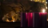 Don’t let Christmas take you by surprise: advice on Advent from the Church