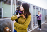 A Comprehensive New Puppy Checklist for First-Time Pet Owners