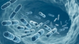 Probiotics for Skin Health | Clarus Dermatology