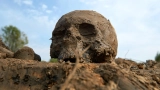 Ancient DNA finally solves the mystery of the world’s first pandemic