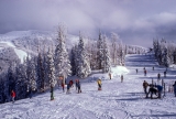 Best Snacks for Skiing | Shop Ski Snacks at Carnivore Snax