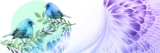 Spirit Signs~ Top 4 Signs From Spirits