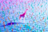 I’ve Built Websites for 25 Years. Here’s How I’d Make a Business Stand Out in an Internet Full of AI Slop.