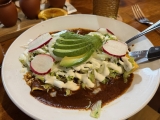 Mezcal and Mole: Why Terra Mezcal is a True Hidden Gem