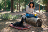 How Play Pet Brands Turns Sustainability Into Playtime