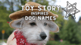 Toy Story Inspired Dog Names