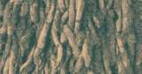 Root Cause Analysis: Right-Sized Guidance Before the Crisis Hits