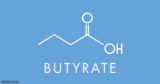 Understanding Butyrate – The Key to Optimal Health and Well-Being