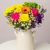 Summer Brights
