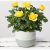 Yellow Rose in Green Stoneware Pot