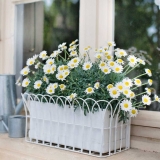 Transform Your Garden with Outdoor Planters