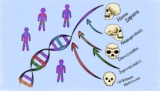 Traces of Two Extinct ‘Ghost’ Ancestors Were Found Hiding in Modern Human DNA, Hinting at Our Extremely Complex Family Tree