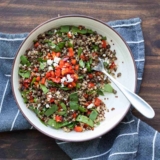 Lentil Quinoa Salad Recipe – The Picky Eater