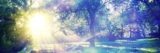 What Is Intuition and How to Develop It